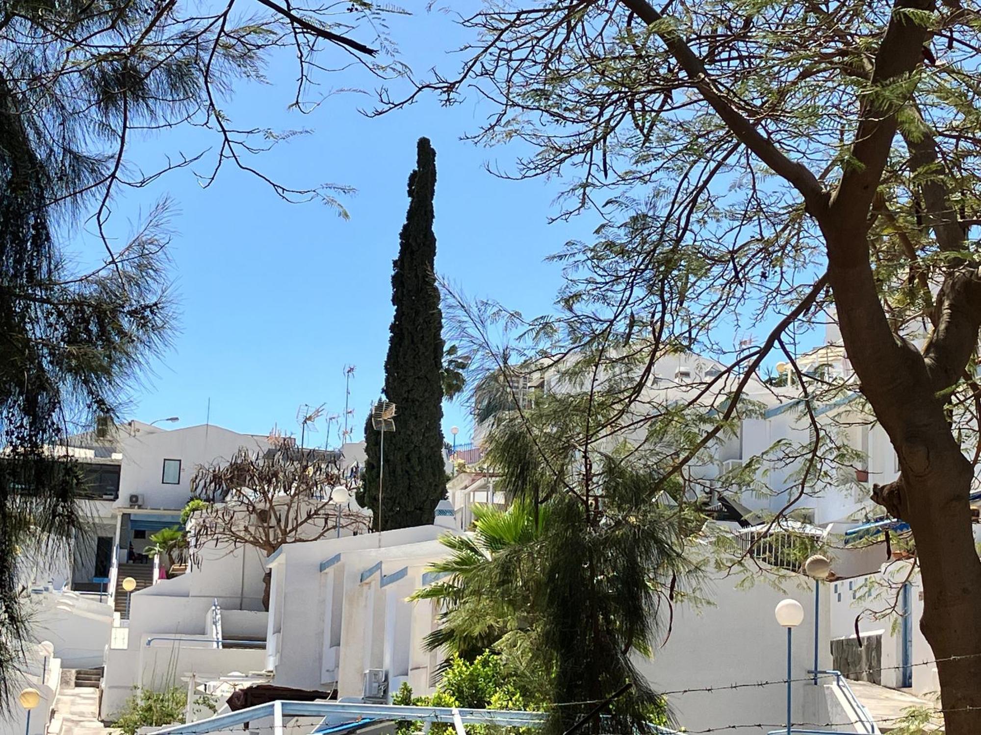 Appartement Casakash Sonnenland à Maspalomas  Extérieur photo