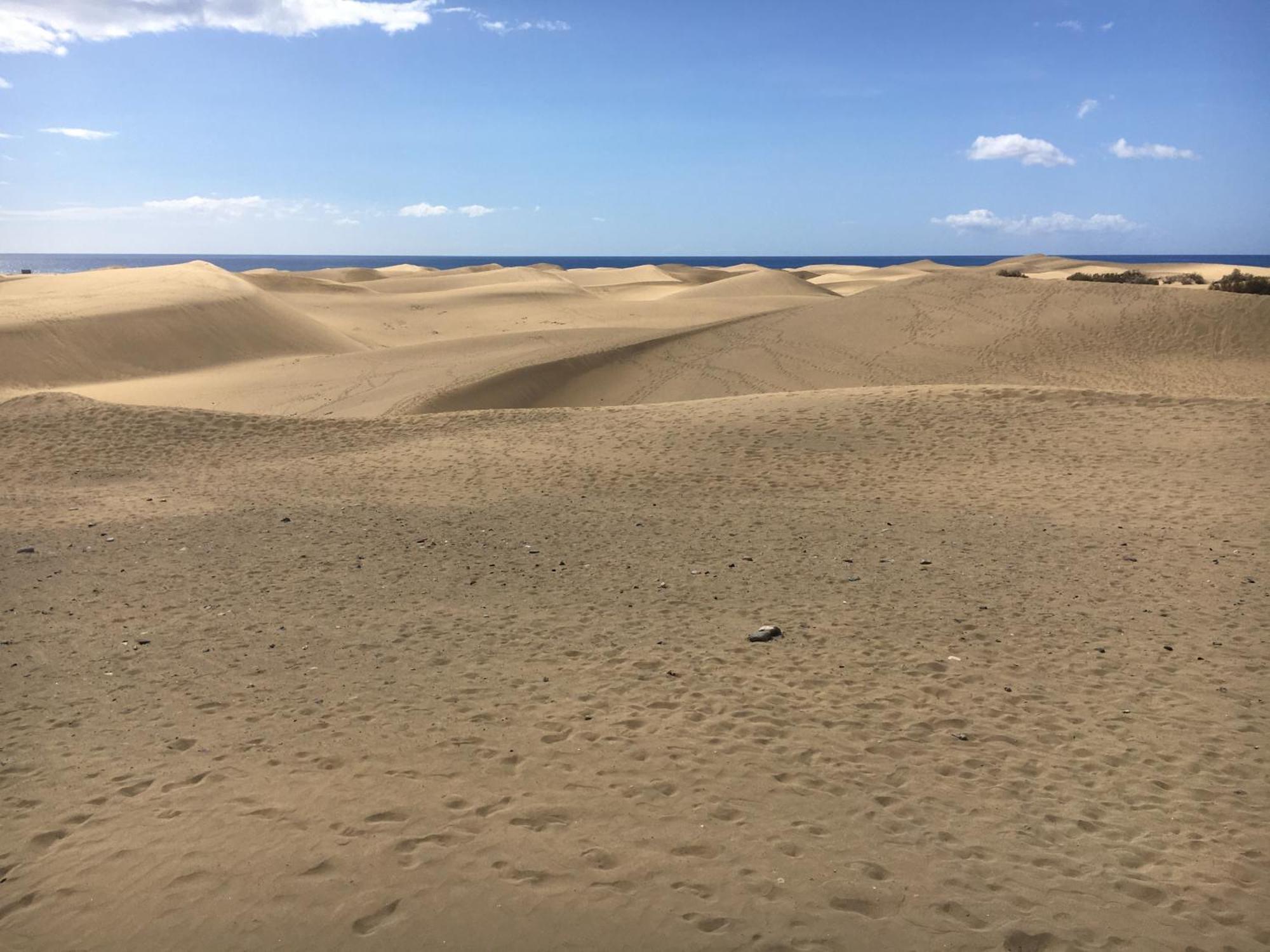 Appartement Casakash Sonnenland à Maspalomas  Extérieur photo